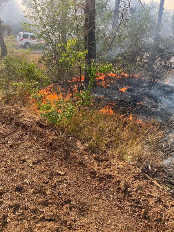 340 ������� � 75 ��������� ����� ����� � ��������������� ������ � ���