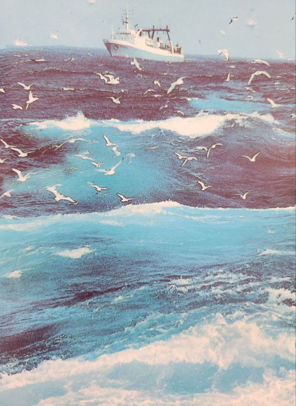 ��������� �������: ������� ������!. ������� �� �������� ��������� ��������������� �������� - ���� ������