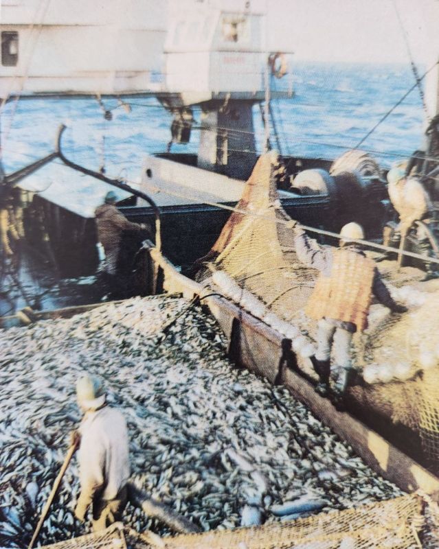 ��������� �������: ������� ������!. ������� �� �������� ��������� ��������������� �������� - ���� ������