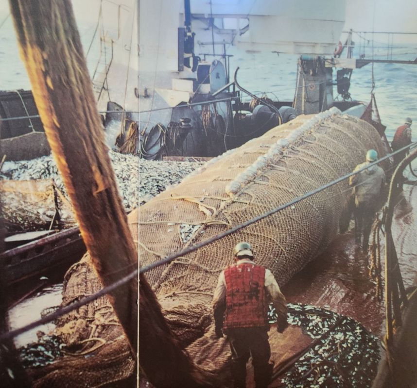 ��������� �������: ������� ������!. ������� �� �������� ��������� ��������������� �������� - ���� ������