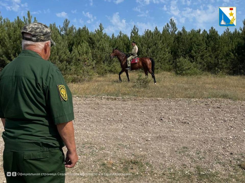 ������� �������. ���������� ���������������� ����������� ������ � �������� �� ���������������� ��������� ������ ��������� ��� � ���������� ����������� ��������� ������� �������� ������������