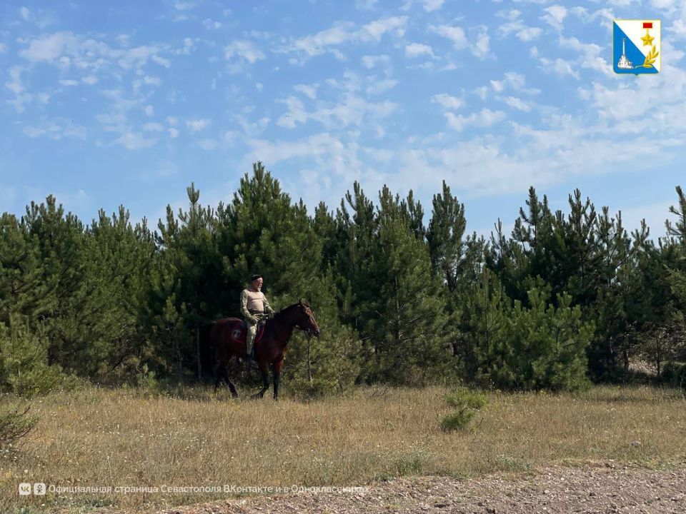 ���������� ���������������� ����������� ������ � �������� �� ���������������� ��������� ������ ��������� ���������� ������ �������� ������������ � ��������