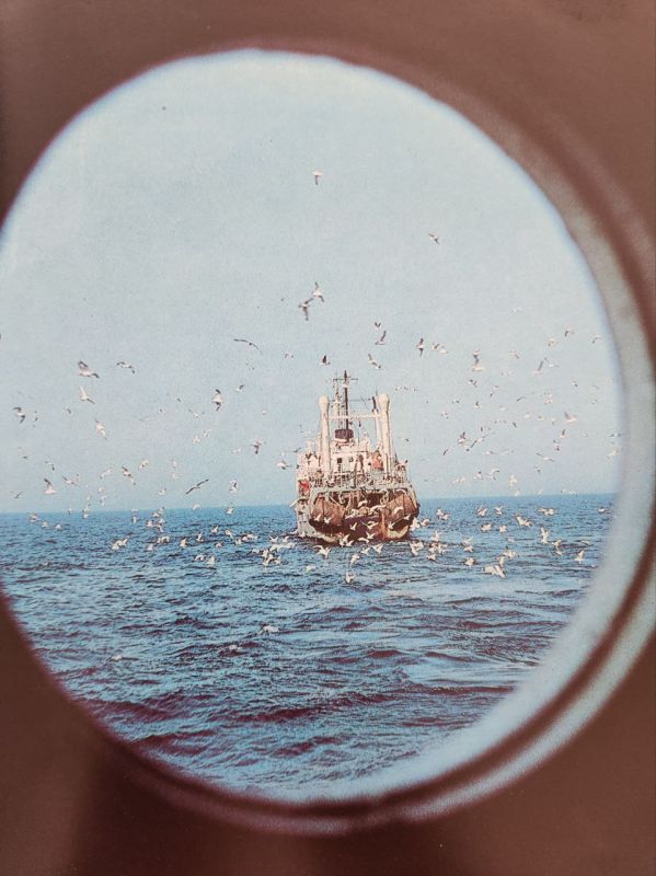 ��������� �������: ������� ������!. ������� �� �������� ��������� ��������������� �������� - ���� ������