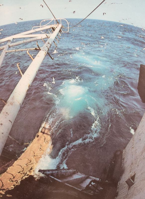 ��������� �������: ������� ������!. ������� �� �������� ��������� ��������������� �������� - ���� ������