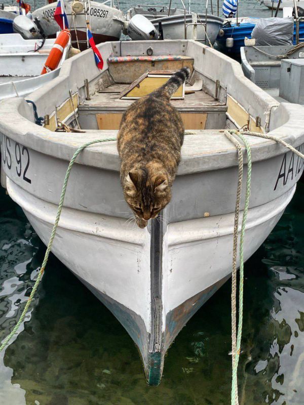 �������� ������: ������� ���������� ���� ������