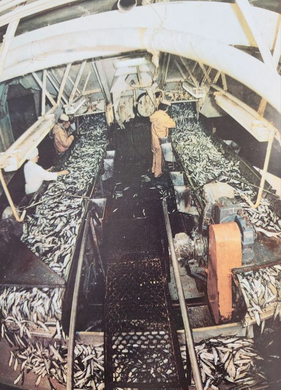 ��������� �������: ������� ������!. ������� �� �������� ��������� ��������������� �������� - ���� ������