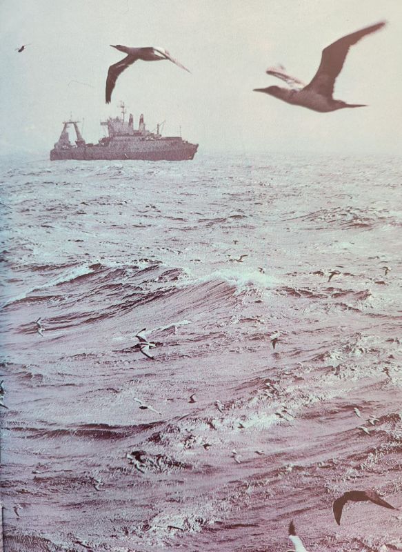 ��������� �������: ������� ������!. ������� �� �������� ��������� ��������������� �������� - ���� ������