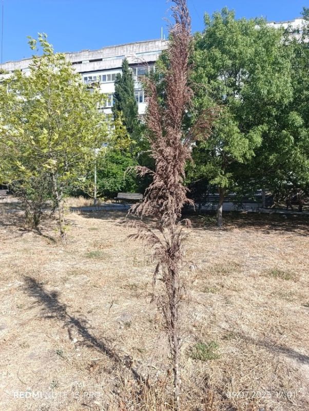 ����������� ��������? �������� ������� �������� �� ���������� ������ �������� � �����������