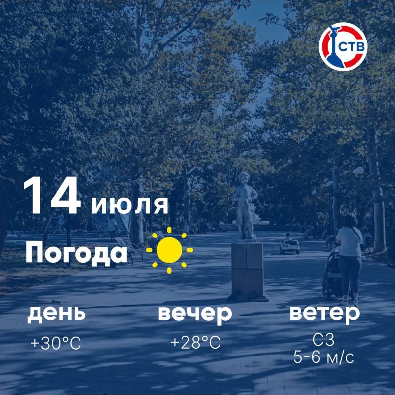  , !    ,   , +24