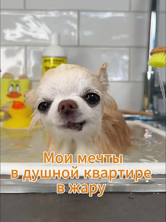     :     