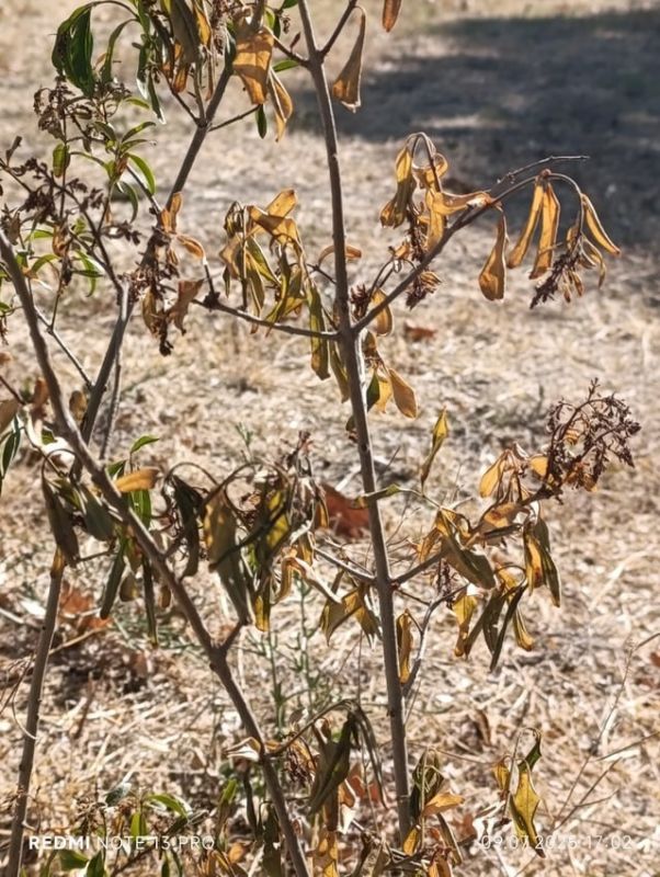 ����������� ��������? �������� ������� �������� �� ���������� ������ �������� � �����������