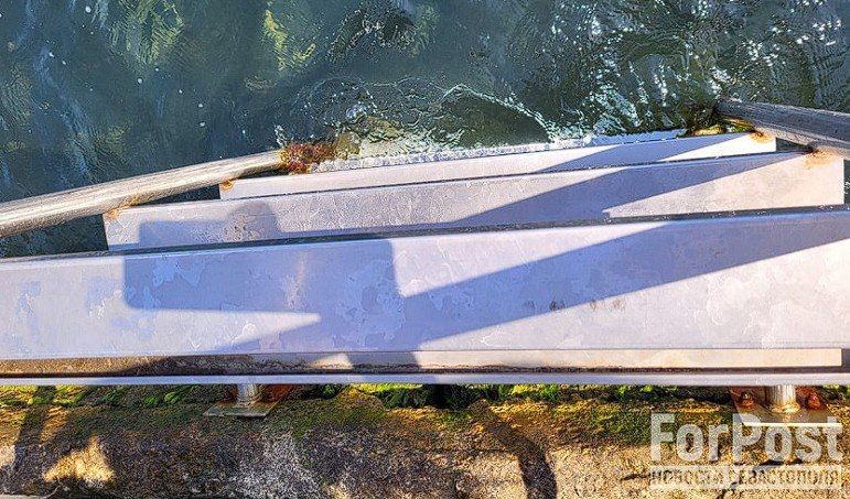 ����� �������� �� ����� "�����������" ���������� ����������