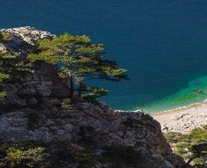 ��� �������� ��� ���?. �������� ���� ���� � �� ������ �������� �����, � ������� ����������, ��������� ������ ������