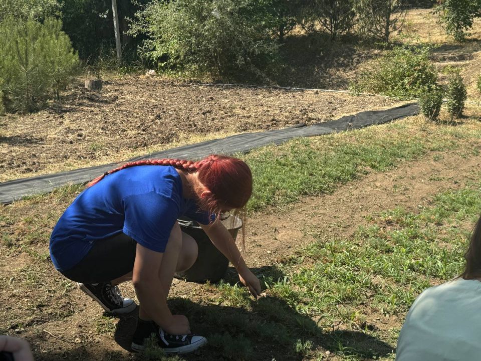 � ������������� ���������������� ����������� �������� 27 ����� �� �������������� �������� �������