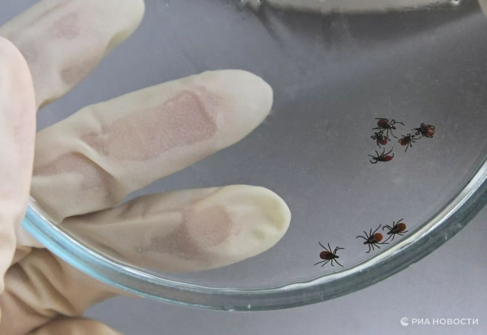 33 �������� �������� � ����� �������� ����������� � �����������