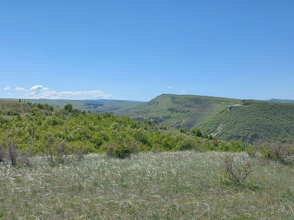      15 