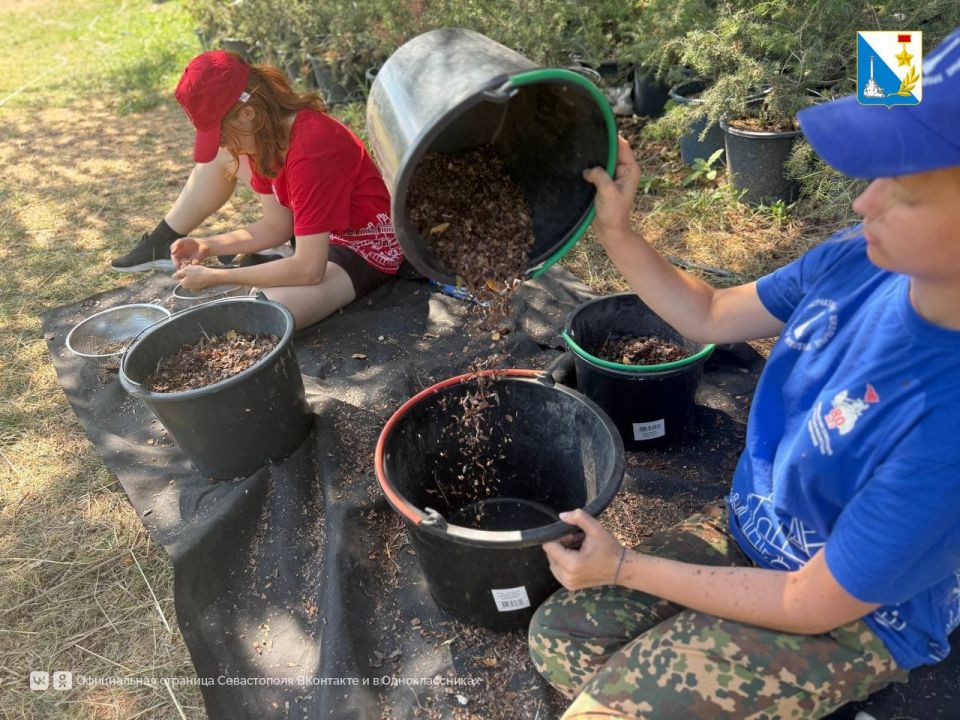 �������� 10 ����� ��������