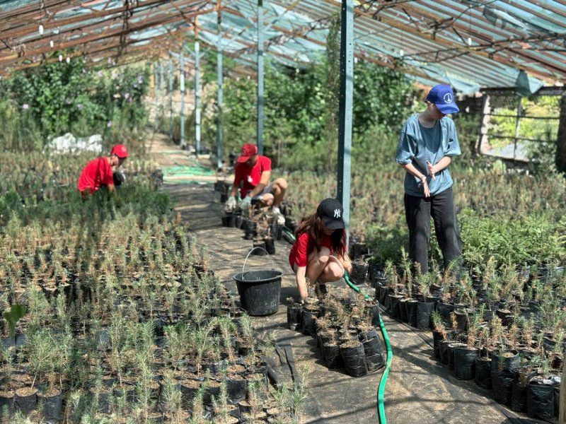 ��������� �������������� �������� �������� ������� �������� ����� 10 ����� ��������