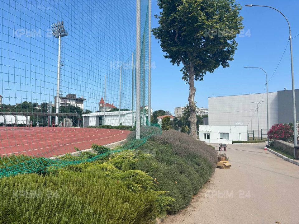 � ����������� ���������� ������ �������������� �������� �������� ������