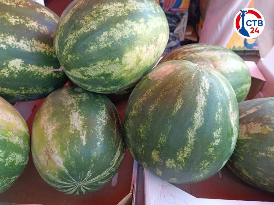 �� ������ � �������� ����������� ������ ��������� ������