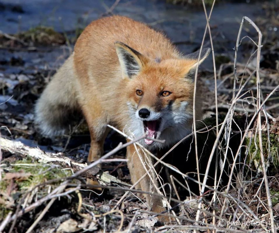 �������� �� ��������� �������� ����� � ������������ ������