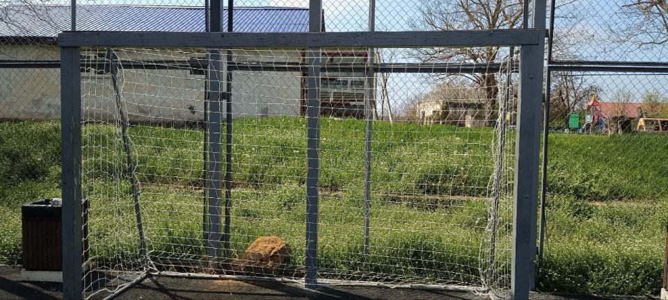 ������� �������������� ����������� ���������� ���������� � ����� ���������������, ������������ �� ����������� ����������� ����������� ��������� ����������, ����������� ������������ ��������� ������� ��������