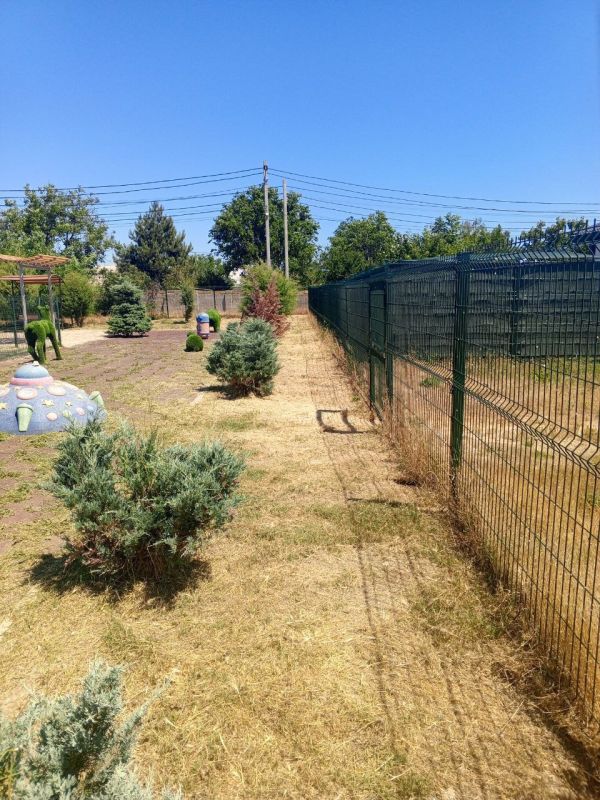 ������� �������������� ����������� ���������� ���������� � ����� ���������������, ������������ �� ����������� ����������� ����������� ��������� ����������, ����������� ������������ ��������� ������� ��������