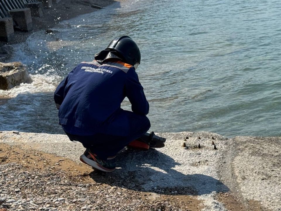 ��� ������ ��������� ����� ���������� �������������� ������ �������������� ������ ������ ����������� ������� �������������� ����������� �� ������� ��������� ����� �� ����������� ������� � ������ ���������� "��� �����"