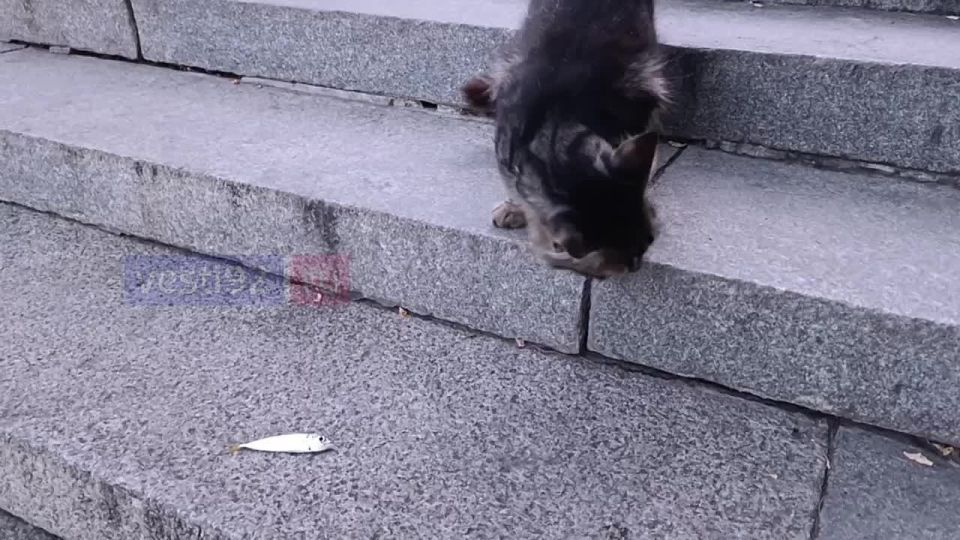      ,     