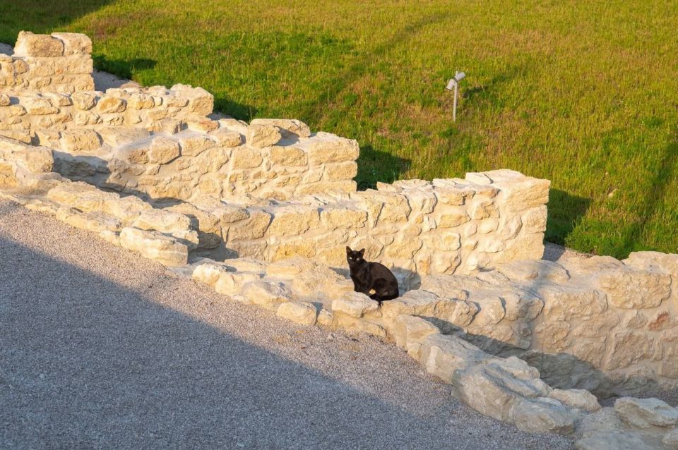 �� ���� ����������� ������� ����� ��������������� ����