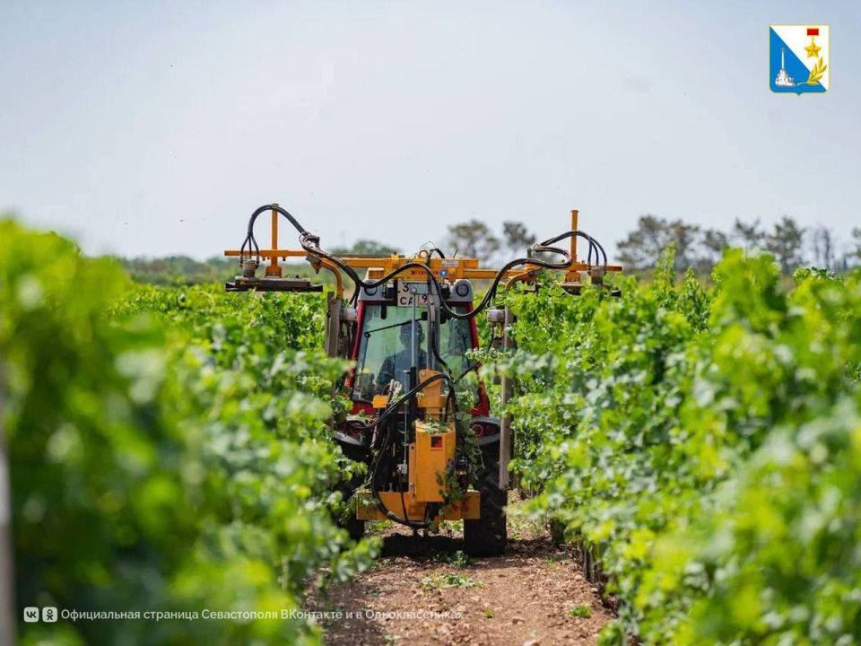 ����� �������������� ��������� �������� ������������