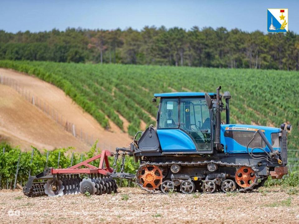 ����� �������������� ��������� �������� ������������