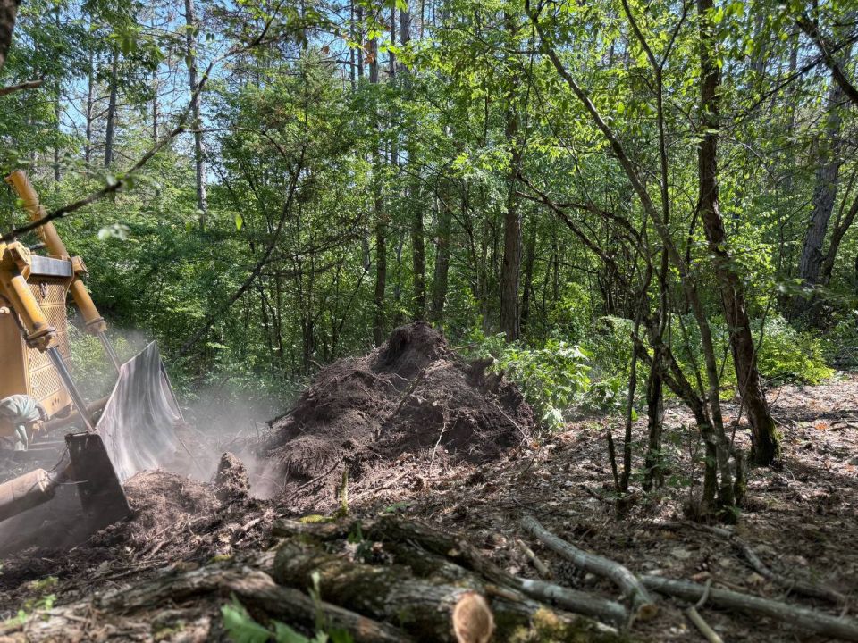 � ���������� ���������� ����������� ��������� ����������� ������ � �������