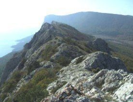 ���������� ������� ������ ����� � ���������� �������� ������� �����������