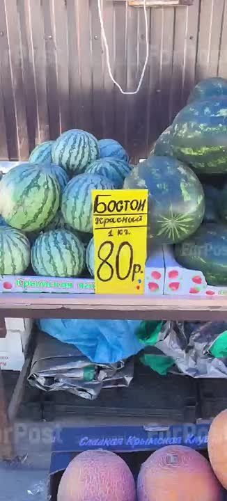       &quot;&quot; 
