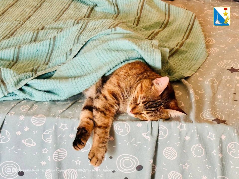 ���������� ����������. 19 ���� ������������ ����������� �������� �������� ���������� ���������� ����� � ����� ������ ��������� � ������������ � ����������� ������� �������������� �����