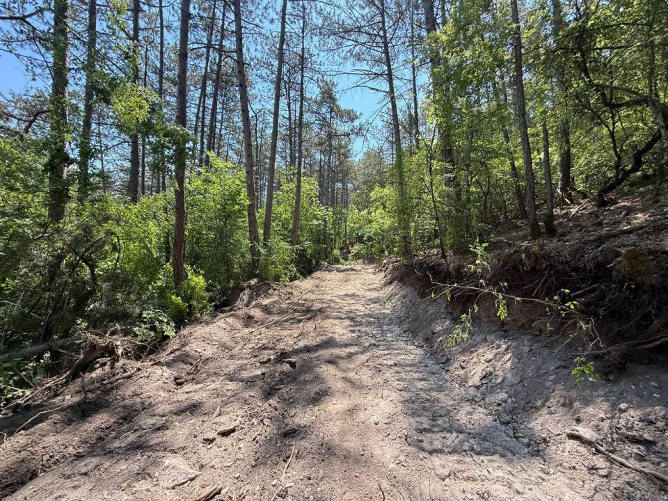 � ���������� ���������� ����������� ��������� ����������� ������ � �������