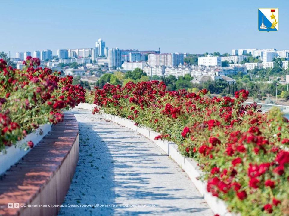 ��������� �� ������� ��������