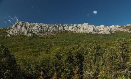 ���������� ������� ������ ����� � ���������� �������� ������� �����������