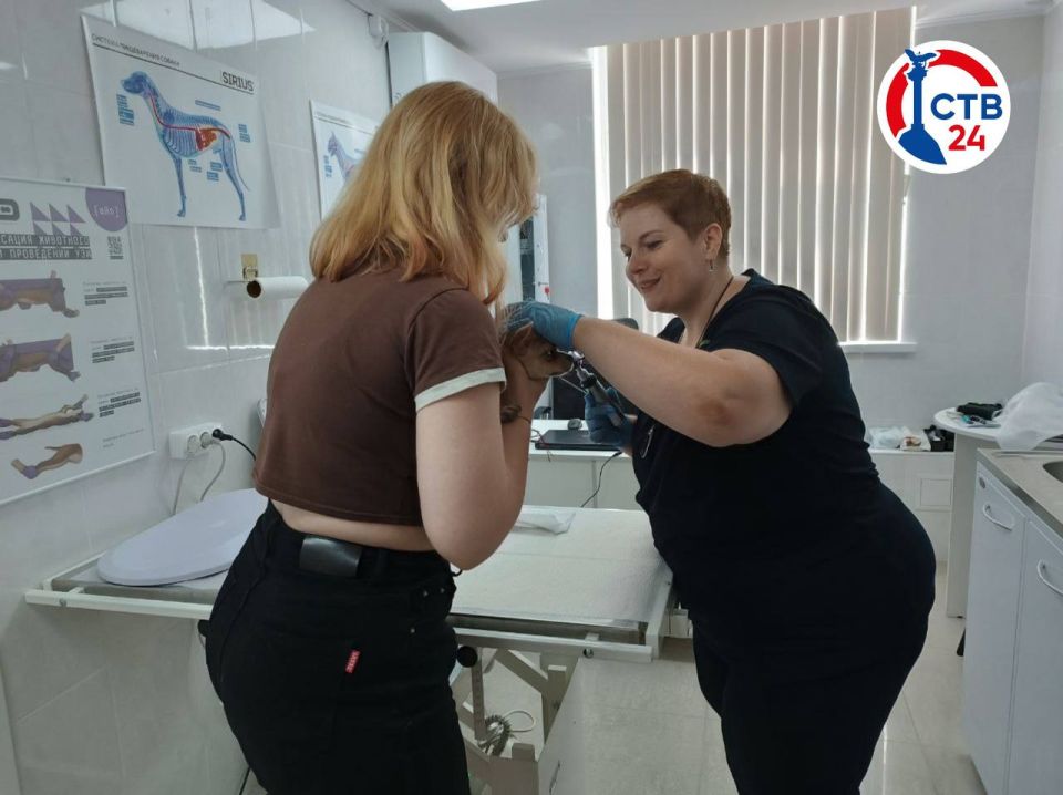 ���������� ������������� ����������� �������� �������� ���������� �� ���������� ��������