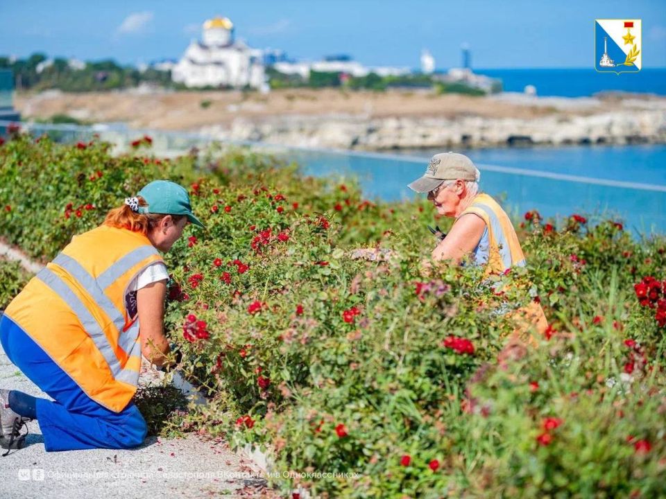 ��������� �� ������� ��������