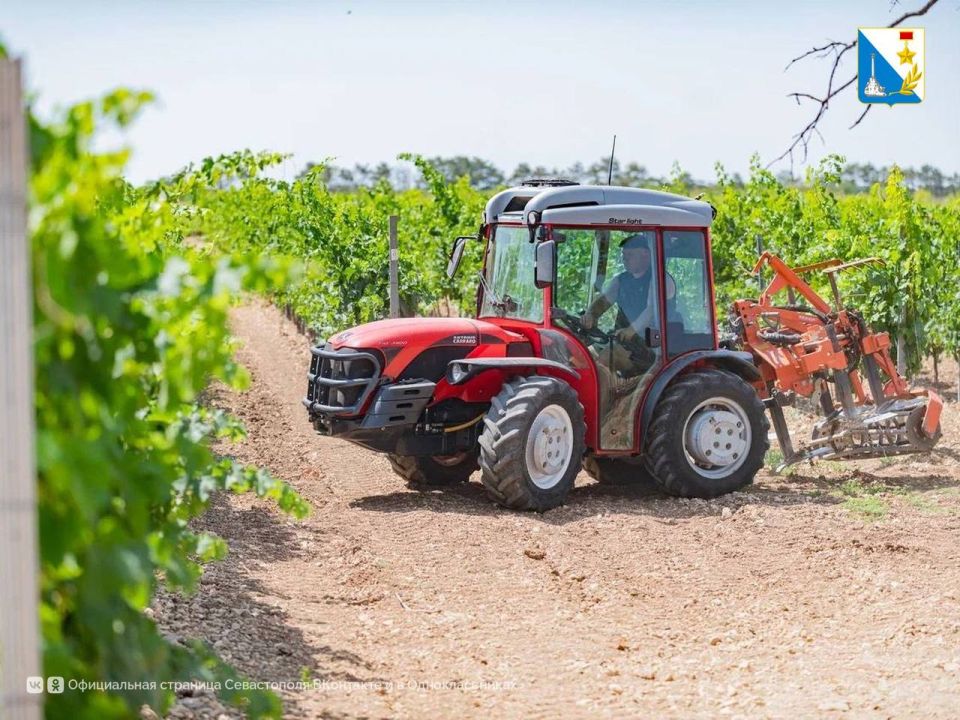 ����� �������������� ��������� �������� ������������