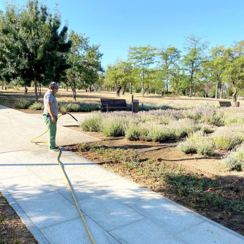 � ����� �������� � ������� � ������ � �������!