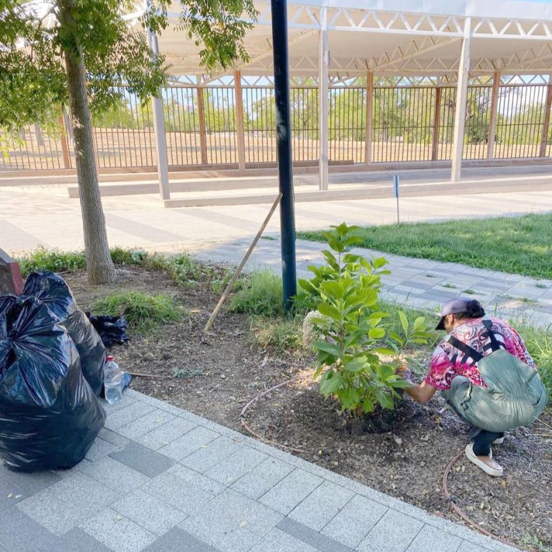 � ����� �������� � ������� � ������ � �������!