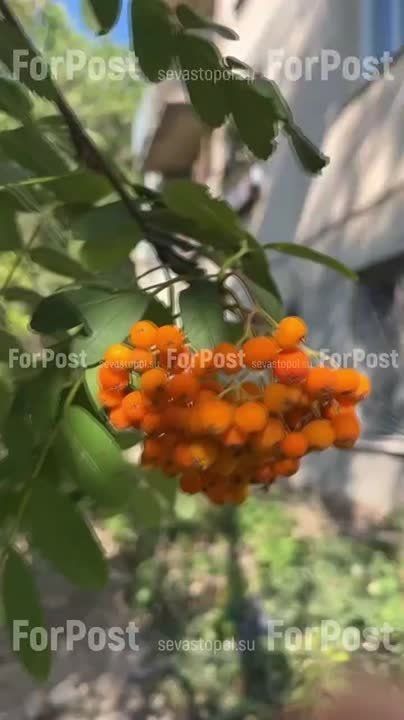      ,     ,      
