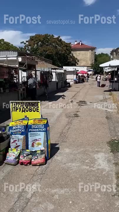 #���_�����. ������ ����� �� �������� � �������, �������� �����