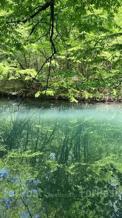 ��� � ������� � �����������?