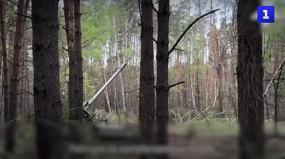 ������� 810-� ������� �� ��������� �������� ���� � ������� �������