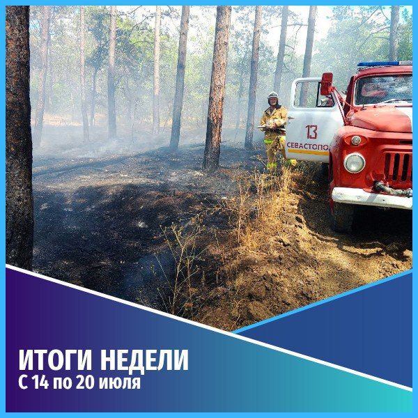 ������������ ������������. ������� ������ � 14 �� 20 ����