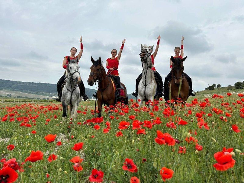 ��������������� ������� ���������: ���� ������� �������� ������ �����